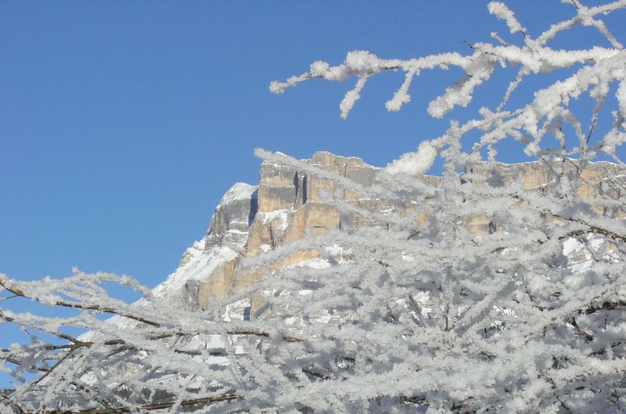 Ciasa Alfri La Villa (Trentino Alto Adige) Exterior foto
